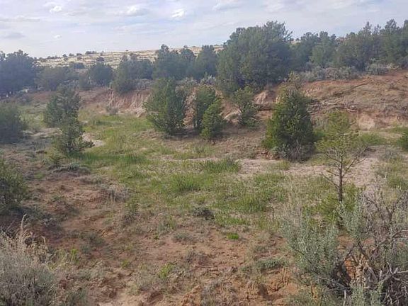 2nd image of State Highway 595