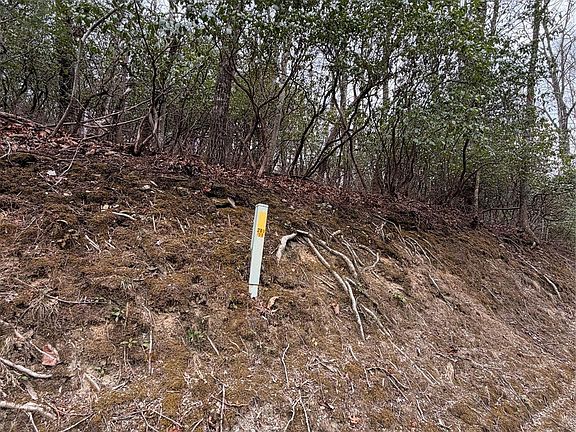 3rd image of Tsisqua Cir #66/05