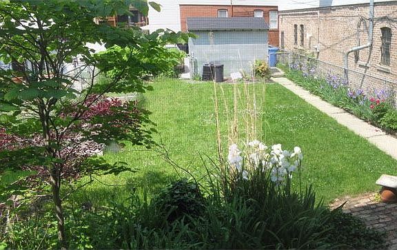 View of backyard