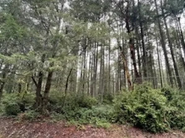 11715 country club dr, Anderson Island, WA 98303