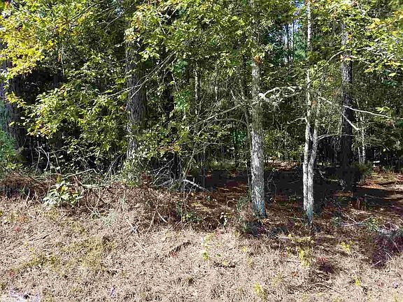 4th image of 10 Ventoso Ln