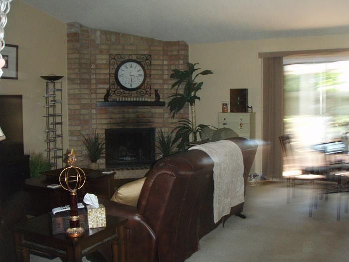 Den with Fireplace