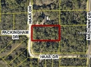 34135 Haas Dr, Webster, FL 33597