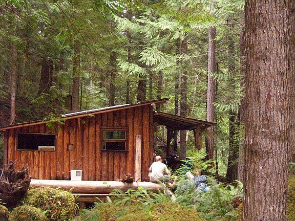 Sequim cabin looking north