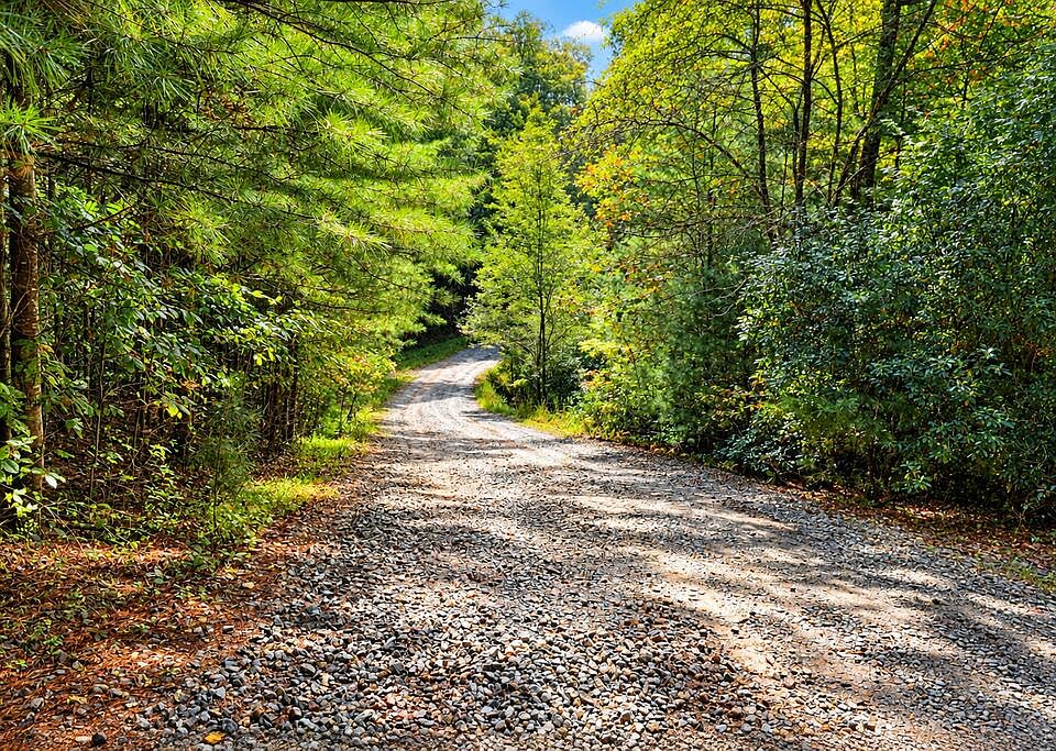 2nd image of LOT 12 Hillbilly Holler