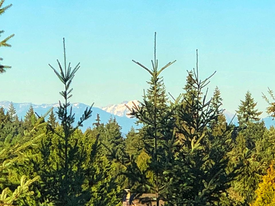 Mt. Baker view from master