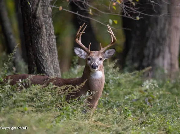 412 Deerfield Rd, Tobyhanna, PA 18466