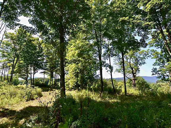 5th image of 0 The Knolls Lot #3/Guptil Road