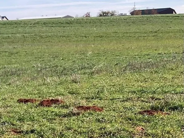 1430 W 20th St, Elk City, OK 73644