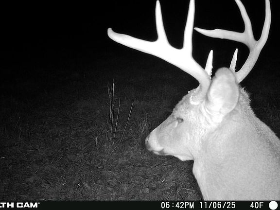 5th image of W13821 Lloyd Creek Rd