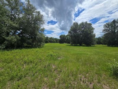 NW 126th St, Chiefland, FL, 32626