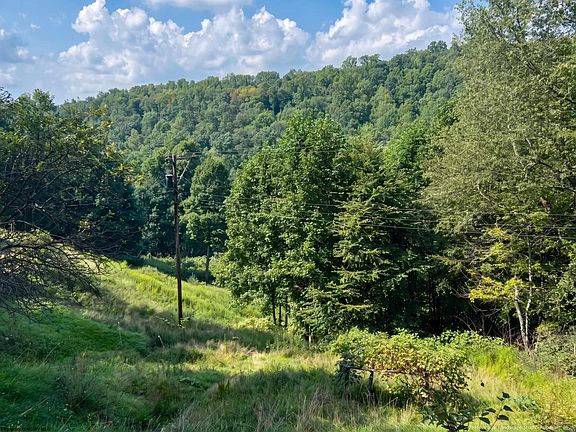 4th image of Birds Creek Rd