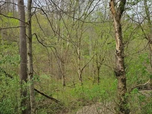 1247 Rocky Br, Spencer, WV 25276