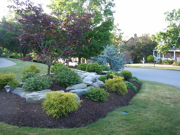 Front Yard Prof L'scape