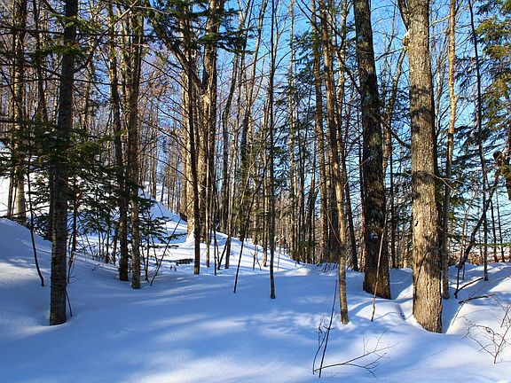 4th image of LOT 35 Alpine Dr