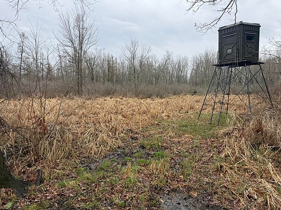 2nd image of Dewey Rd