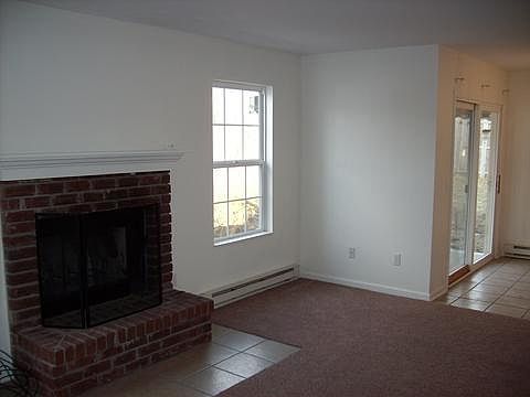 Wood burning fireplace