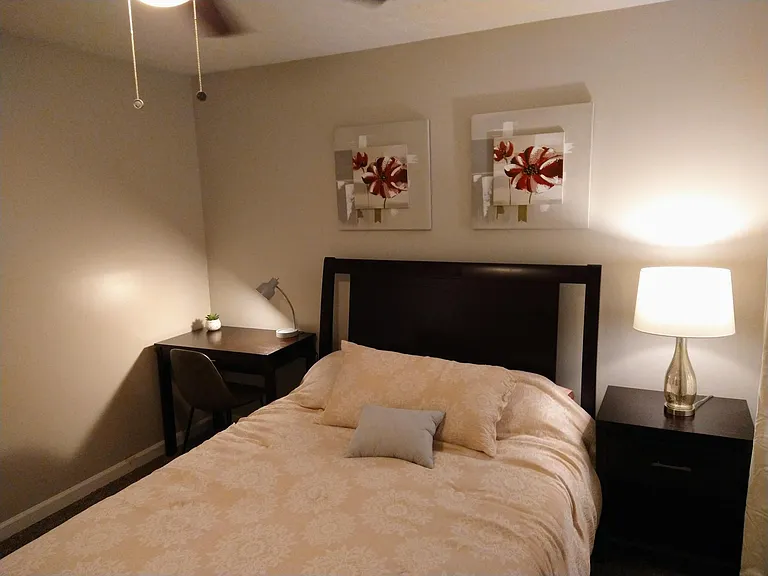 4376 Rebel Ct — Photo 12