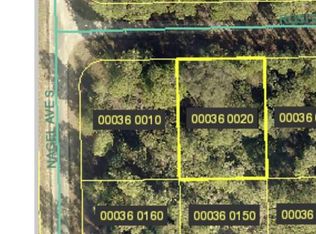 1136 Rosita St E, Lehigh Acres, FL 33974