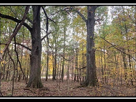 3rd image of 1616 Hogback Rd