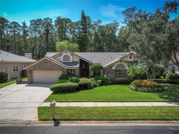 50 Greenhaven Trl, Oldsmar, FL 34677