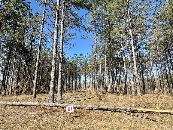 2nd image of 173 Center Ridge Dr Lot 91