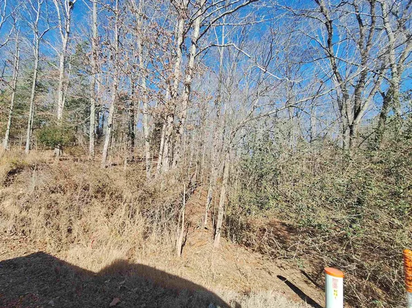 0 Center Ridge Rd, Murray, KY 42071