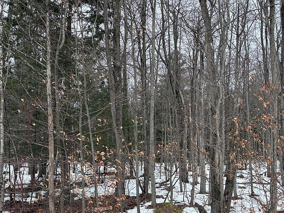 2nd image of 0 Pup Hill Rd