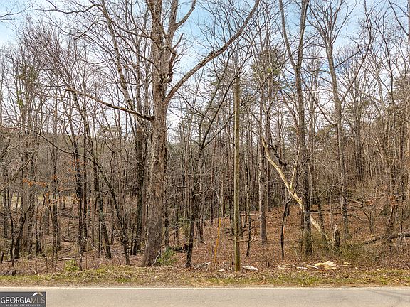 3rd image of LOT 167 Henderson Mountain Rd