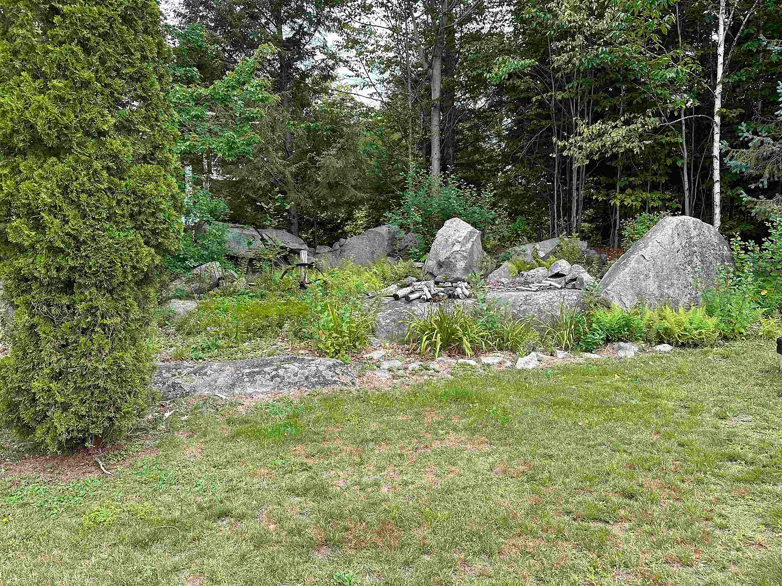 2 bed, 1.0 bath, 672 sqft, $1,650 — Photo 4
