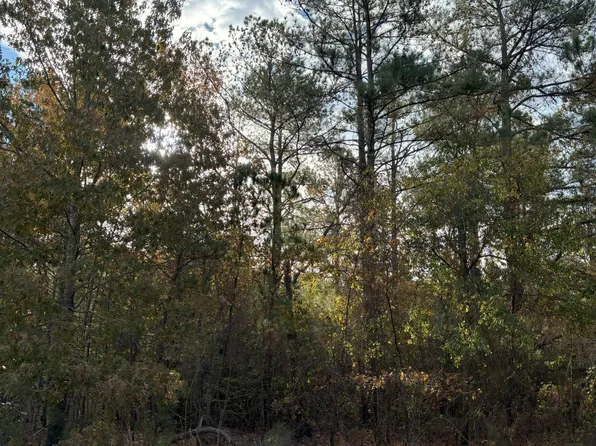 Lot 59 Governors Estate Drive, Elizabethtown, NC 28337