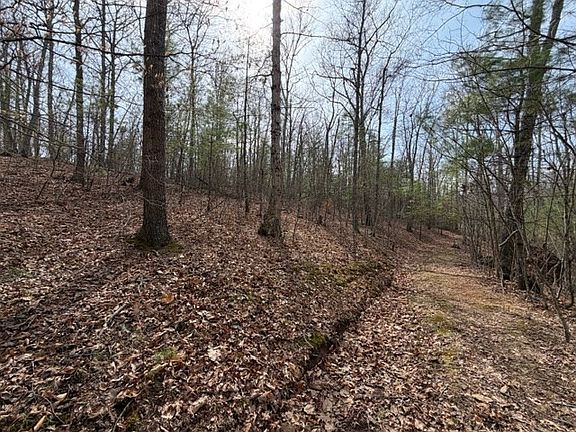 4th image of LOT 8 Walton Furnace Rd