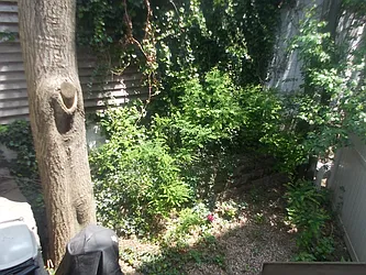 Sold by Orrichio Anderson