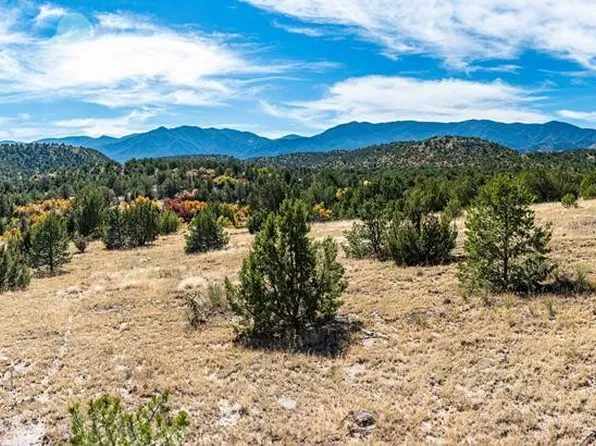 40 Locke Mountain Rd, Florence, CO 81226