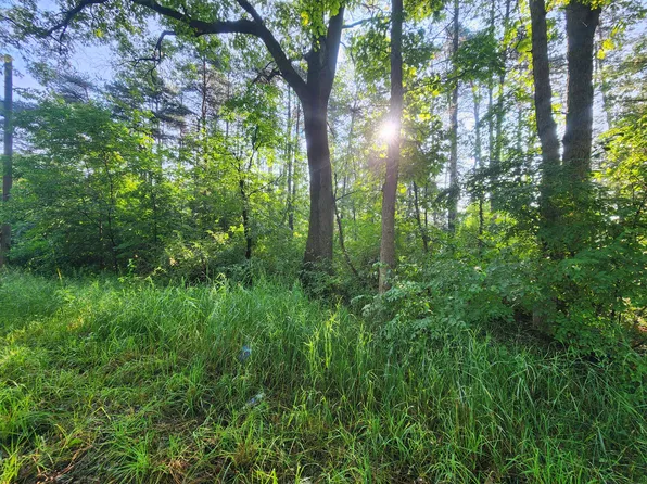 0 Dalson Rd, Twin Lake, MI 49457