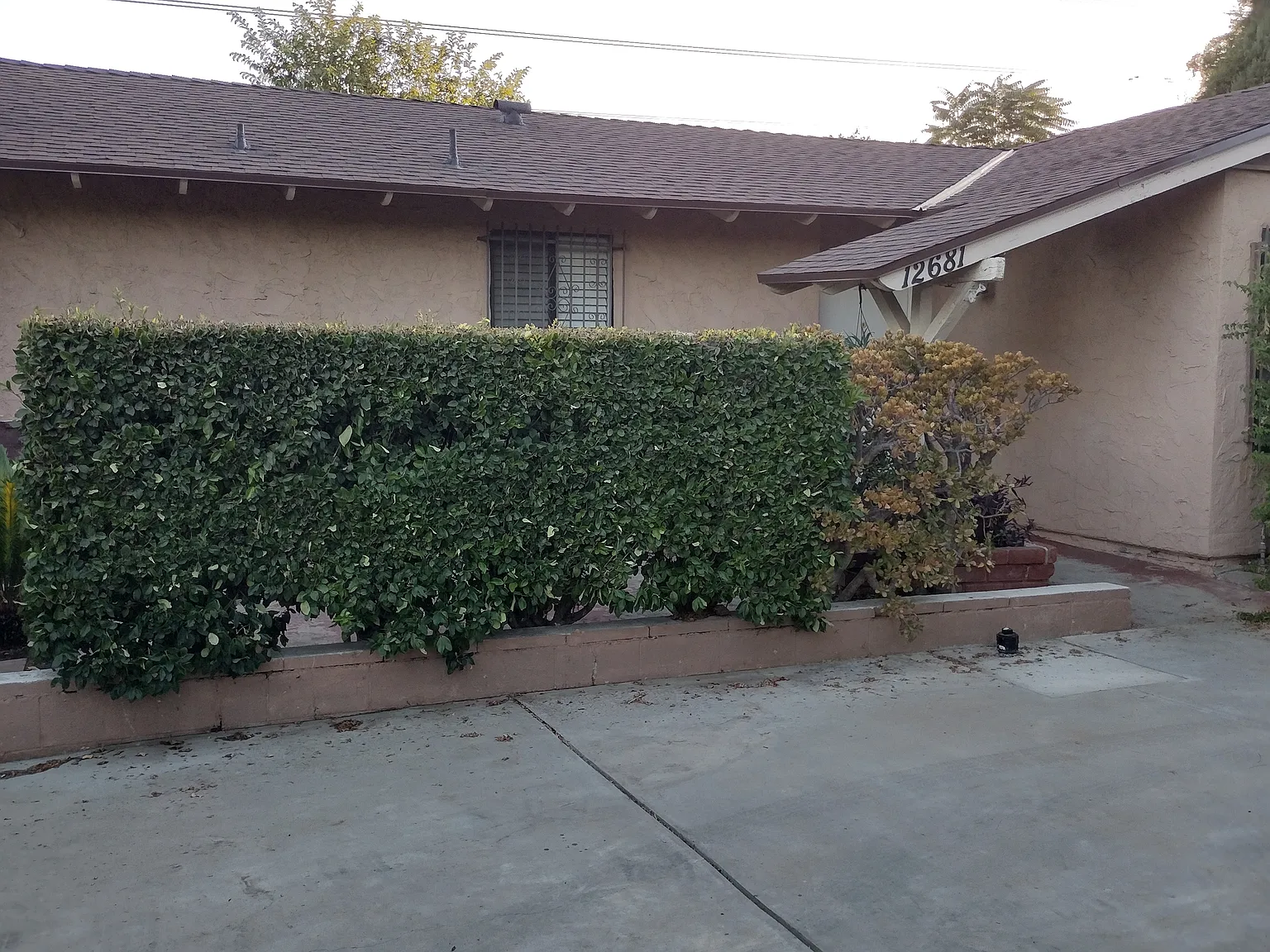 4 bed, 1254 sqft, $3,900 — Photo 1