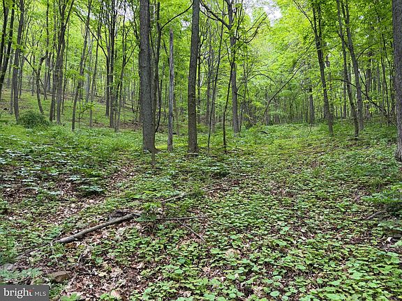 3rd image of 55AC Main Rd