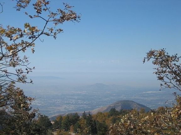 Unobstructed City Views