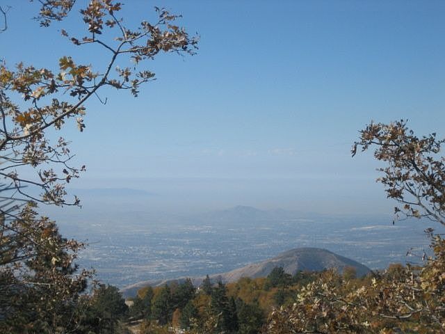 Unobstructed City Views