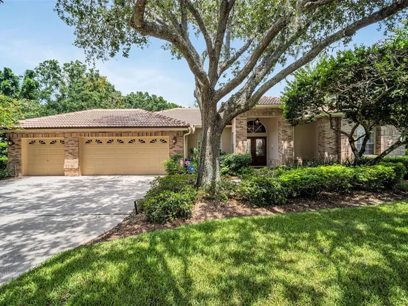 4973 Turtle Creek Trl, Oldsmar, FL 34677