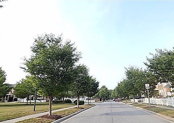 Exterior Neighborhood (street photo)