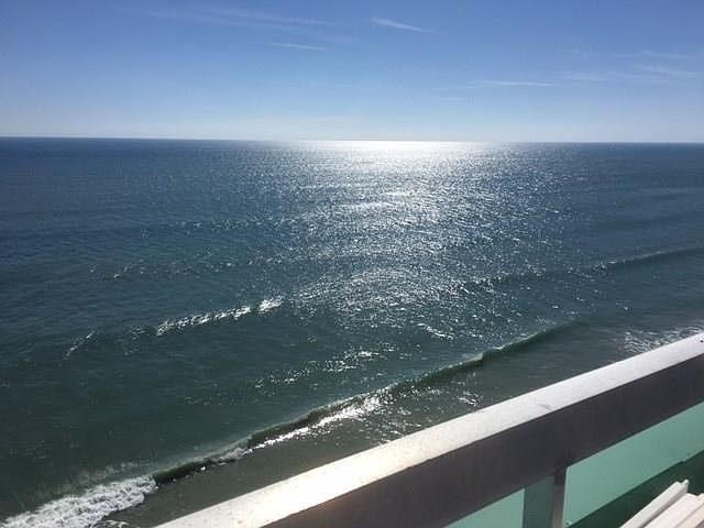 1st image of 9900 S Ocean Dr APT 1605