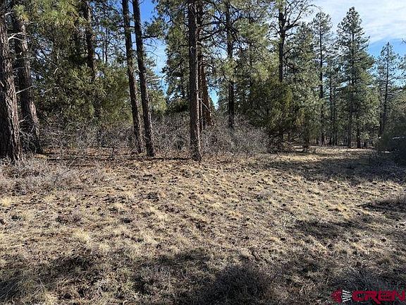 3rd image of 495 Justin's Drive