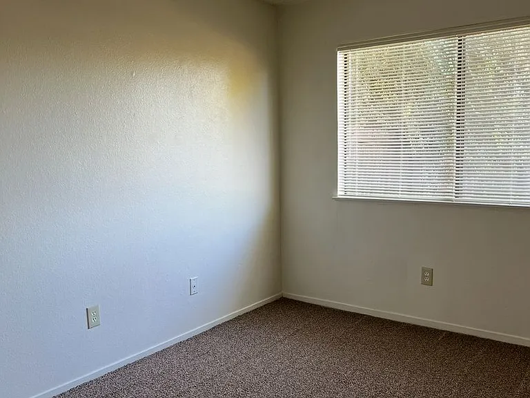 7013 Halesworth Ct — Photo 8