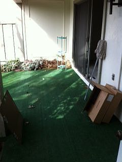2nd image of 5532 Cribari Cir