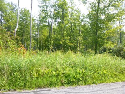 Township Road 401 Swoyer Rd, Lake Ariel, PA, 18436