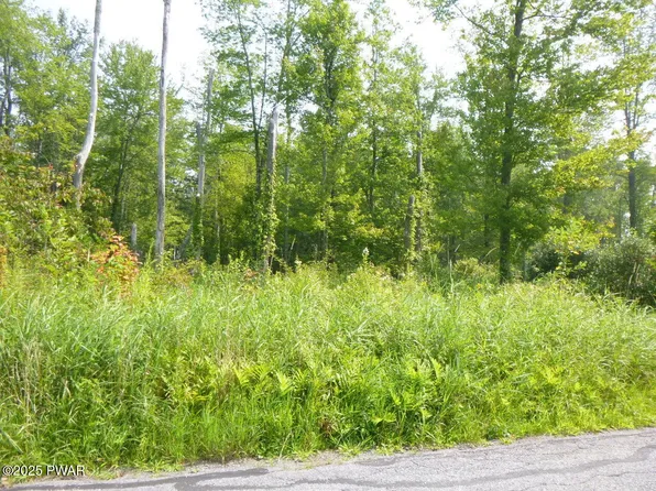 Township Road 401 Swoyer Rd, Lake Ariel, PA 18436