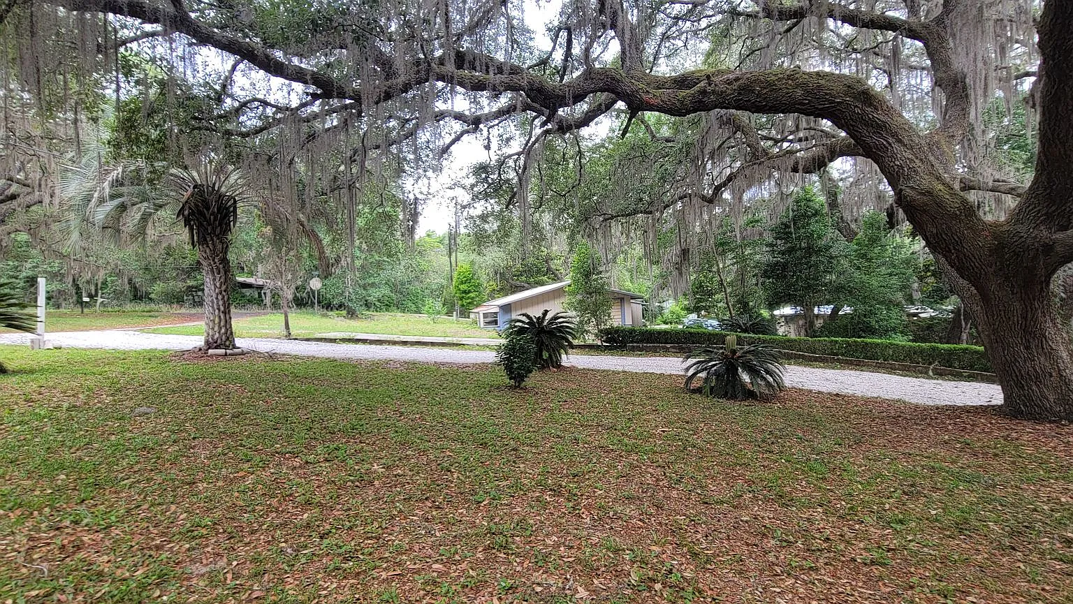 Keystone Heights - Lake House 4/2.5 — Photo 3