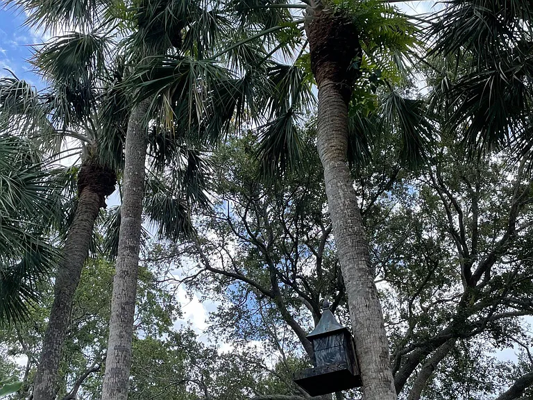 Bird house outside the unit