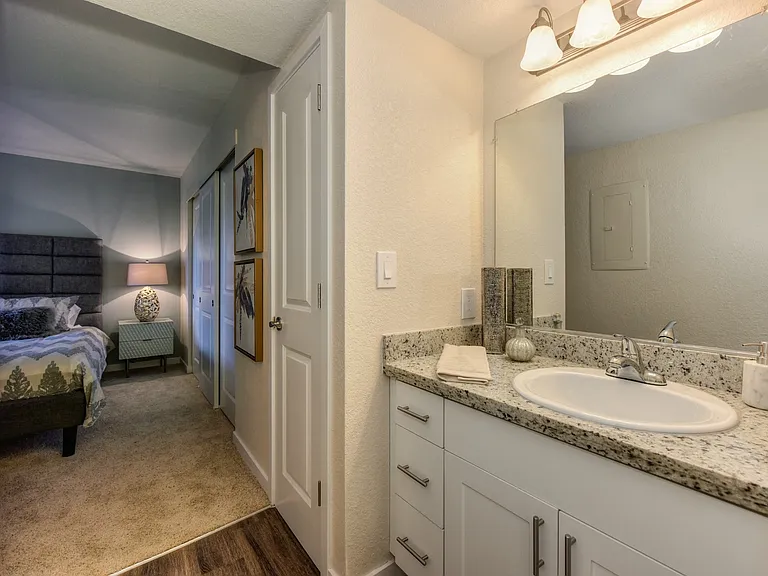Bathroom with Adjoining Bedroom